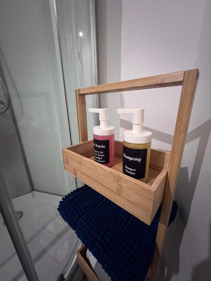 Charmant Appartement Climatise Aux Pieds De La Cite Carcassonne Dış mekan fotoğraf