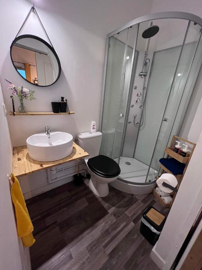 Charmant Appartement Climatise Aux Pieds De La Cite Carcassonne Dış mekan fotoğraf